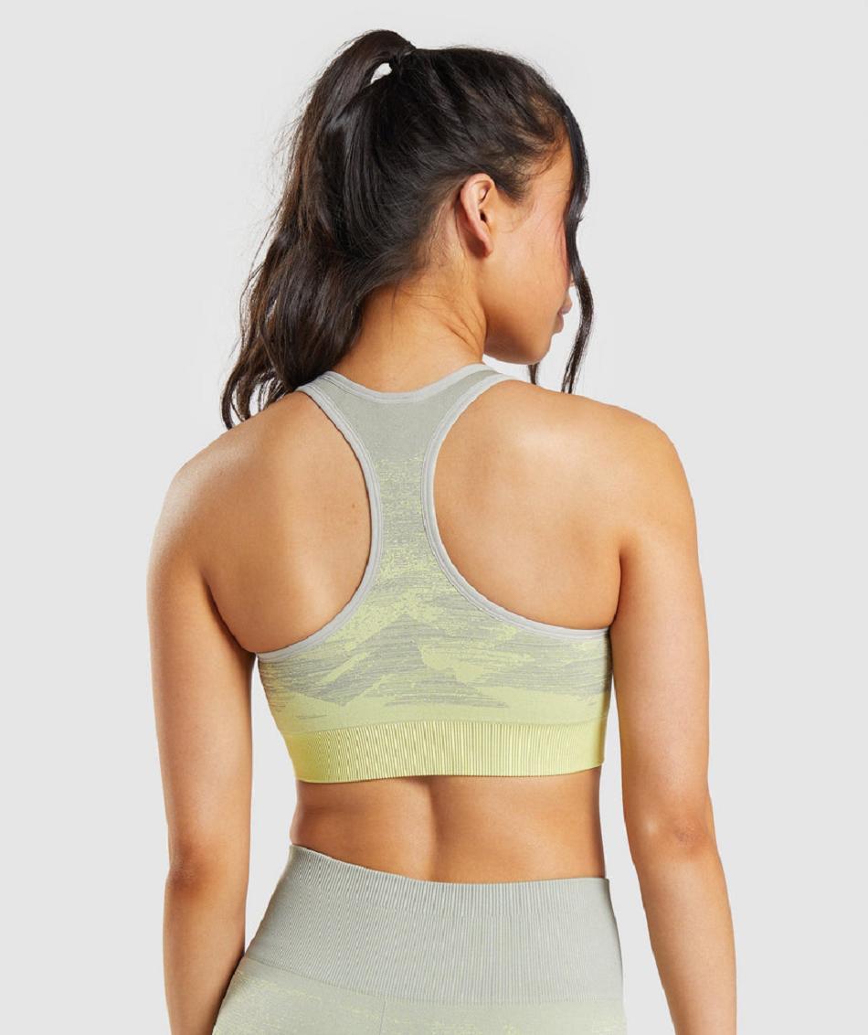 Gymshark Adapt Ombre Seamless Ženske Sportski Grudnjak Sive Smeđe Sive | HR 3337GSO